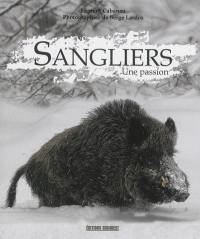 Sangliers : une passion