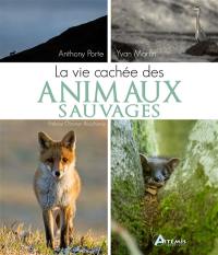 La vie cachée des animaux sauvages