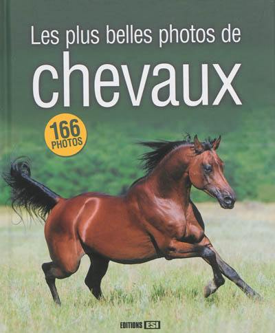 Les plus belles photos de chevaux