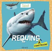 Requins à construire