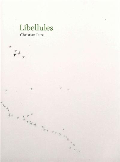 Libellules, Christian Lutz