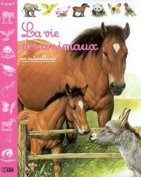 La vie des animaux en autocollants : couverture fuchsia