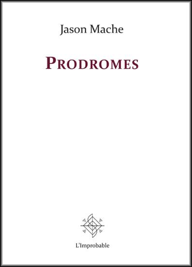 Ambre. Vol. 1. Prodromes. Sur Le palle en écharpe