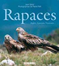 Rapaces : aigles, faucons, busards...