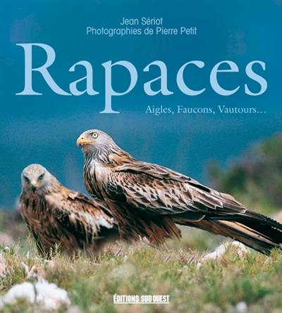 Rapaces : aigles, faucons, busards...