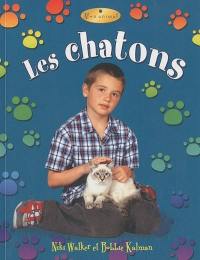 Les chatons