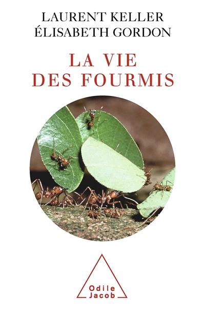 La vie des fourmis