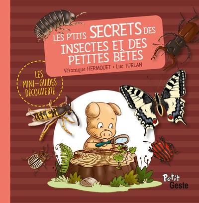 Les p'tits secrets des insectes et des petites bêtes