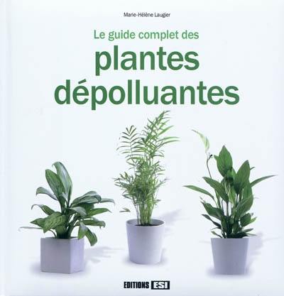 Le guide complet des plantes dépolluantes