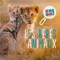 Les bébés animaux