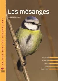 Les mésanges : description, répartition, habitat, moeurs, observation