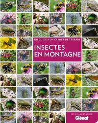 Insectes en montagne