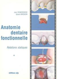 Anatomie dentaire fonctionnelle : relations statiques