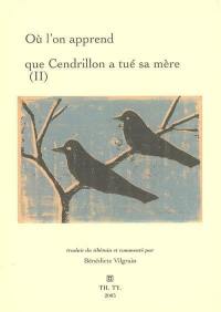 Où l'on apprend que Cendrillon a tué sa mère. Vingt-quatre contes du cadavre + un : un résumé. La marâtre Srin-mo