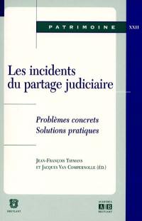 Les incidents du partage judiciaire : problèmes concrets, solutions pratiques