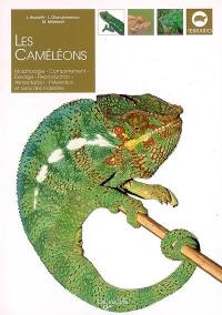 Les caméléons