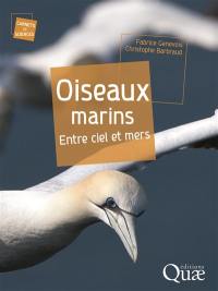 Oiseaux marins : entre ciels et mers