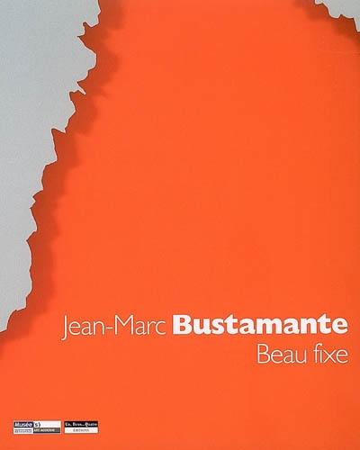 Jean-Marc Bustamante : beau fixe : exposition au Musée d'art moderne de Saint-Etienne, 18 mai-23 juillet 2006