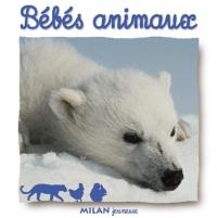 Bébés animaux