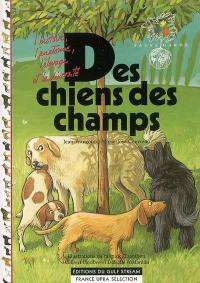 Des chiens des champs : l'histoire, l'anatomie, l'élevage et la diversité