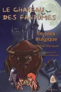 Le château des fantômes. Vol. 4. Le silex magique