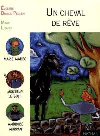 Un cheval de rêve