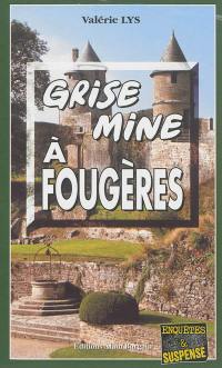 Grise mine à Fougères