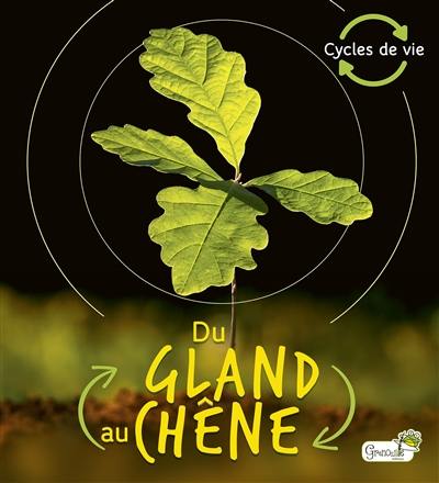 Du gland au chêne