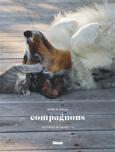 Compagnons : chats et chiens, nos héros du quotidien