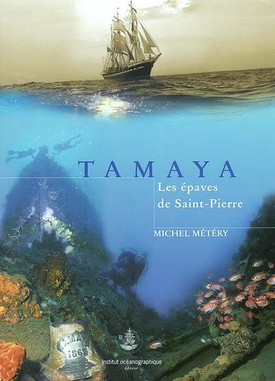 Tamaya : les épaves de Saint-Pierre