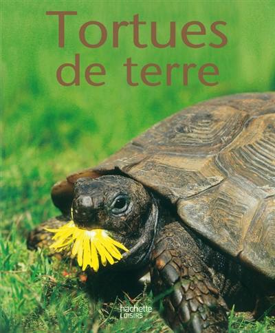 Tortues de terre