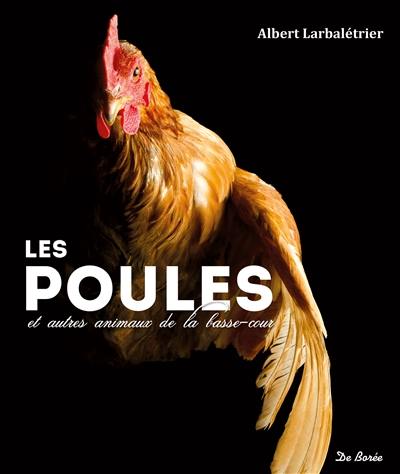 Les poules et autres animaux de la basse-cour