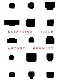 Antony Gormley Expansion Field