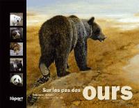 Sur les pas des ours