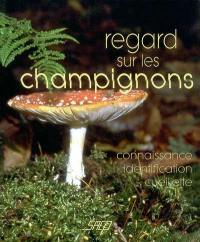 Regard sur les champignons : connaissance, identification, cueillette