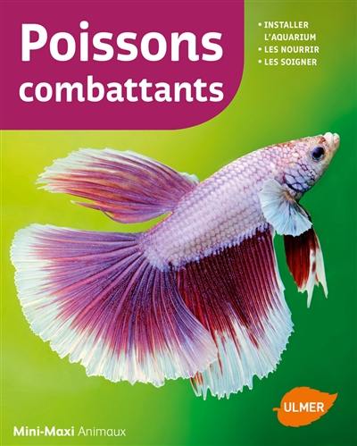 Poissons combattants : installer l'aquarium, les nourrir, les soigner