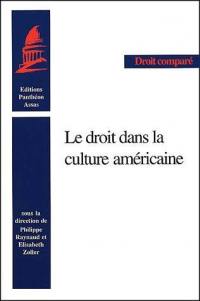 Le droit dans la culture américaine