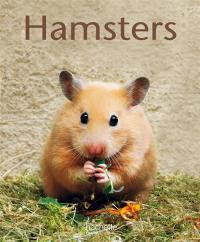 Hamsters