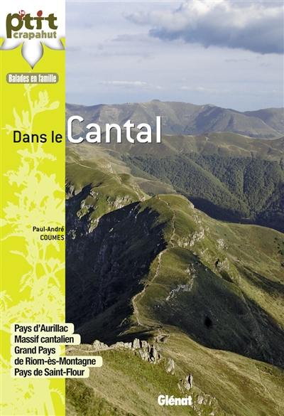 Dans le Cantal : pays d'Aurillac, massif cantalien, grand pays de Riom-ès-Montagne, pays de Saint-Flour