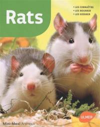 Rats : les connaître, les nourrir, les soigner