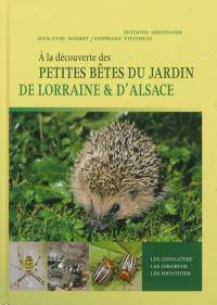 A la découverte des petites bêtes du jardin