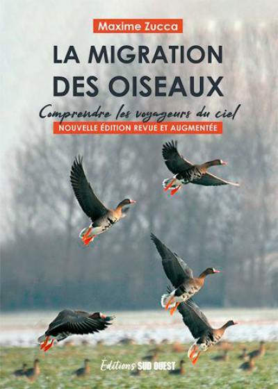 La migration des oiseaux : comprendre les voyageurs du ciel