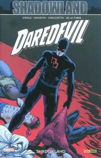 Daredevil. Vol. 22. Shadowland