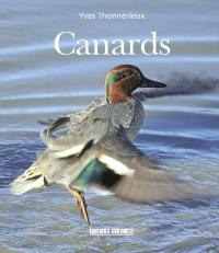 Canards