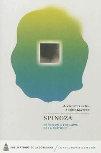 Spinoza : la raison à l'épreuve de la pratique