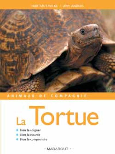 La tortue