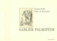 Sablier palmipède