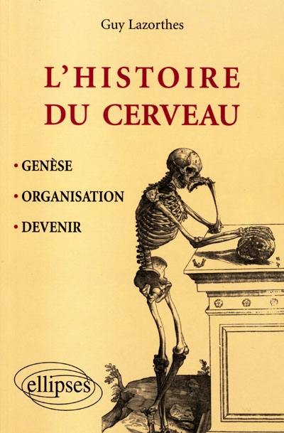 L'histoire du cerveau : genèse, organisation, devenir