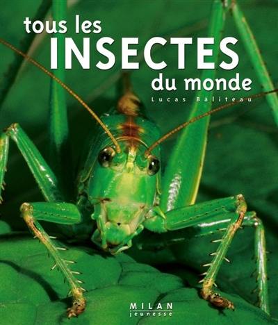 Tous les insectes du monde