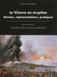 Le Vésuve en éruption : savoirs, représentations, pratiques